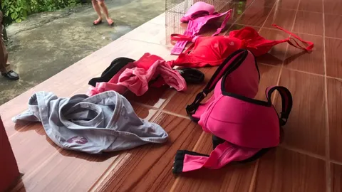 วงจรปิดจับภาพได้ ไอ้โรคจิตอ้วนดำ ขับเก๋งแดง ขึ้นห้องเช่าฉกชุดชั้นใน