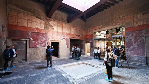 ฟื้นฟูความงดงามของศิลปะเฮอร์คิวเลเนียม