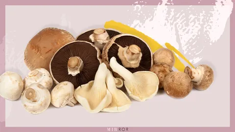 รวม 5 "เห็ด" เพื่อ "สุขภาพ" ประโยชน์เพียบ