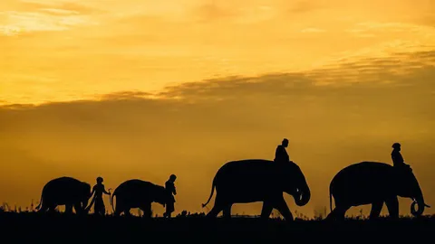 เที่ยวตามตะวัน : จีแหม "อาเจียง" เมียงสุรินทร์