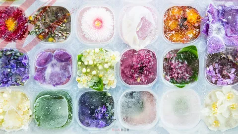 กระทงน้ำแข็ง กระทงรักษ์โลกแถมเก๋ไม่เหมือนใคร