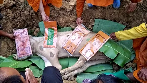 คอหวยคำนวณเลขเด็ดสนั่นชะอวด หลัง "เจ้านำโชค" หมูเทพมี 20 กีบสิ้นใจ