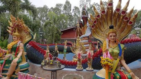 คอหวยแน่นต้นมะขามร้อยปีตำหนักปู่ใหญ่อาจารย์น๊อต ได้เลขเด็ด มี 7 และ 8 (คลิป)