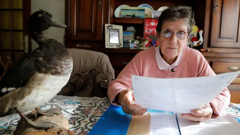 เปิดม่าน joke opera : เป็ดชนะคดี