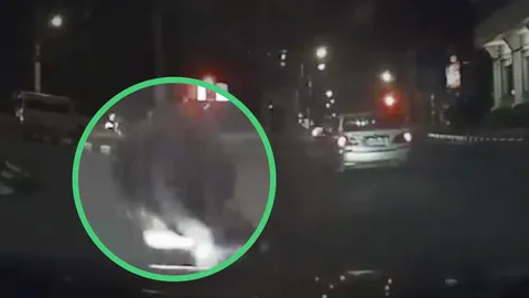 ควายวิ่งเตลิดจากโรงฆ่าสัตว์ ชนรถบนถนน คนใจดีระดมเงินไถ่ชีวิต (คลิป)