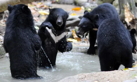 โลกาภิวัตน์ 13/05/54