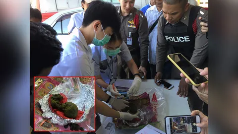 ผวาลูกกรอก