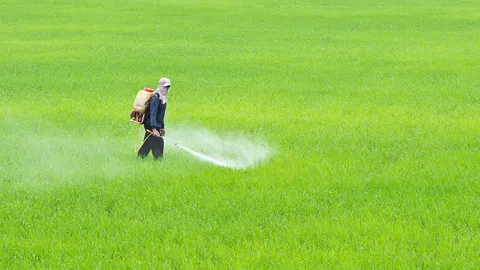 ค้านแบน 3 สาร นัดชุมนุมใหญ่ ที่หน้าทำเนียบ วันที่ 25-26 พฤศจิกายน