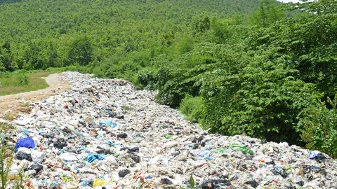 ชู “โครงการวน” แก้ขยะช่วยพิทักษ์ป่า