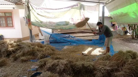 วัยรุ่นกาฬสินธุ์ ใช้กำลังให้เป็นประโยชน์ รวมตัวตีข้าวช่วยยายของเพื่อน 