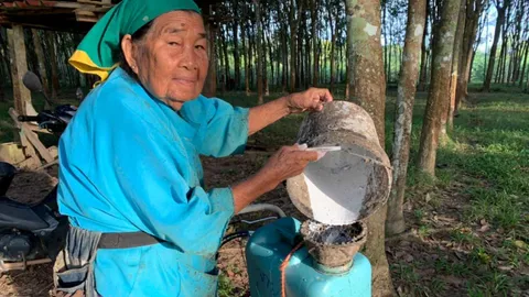 คุณยายยอดนักสู้ อายุ 93 ตื่นตี 2 กรีดยาง 300 ต้น เผย "กินผักเป็นยา"