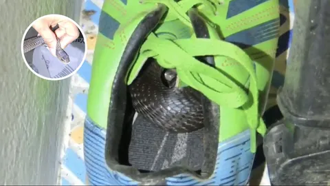 เกือบไปแล้ว ด.ช. 10 ขวบ จะใส่รองเท้า เจอ "งูเห่า" หนีหนาวมาซุกนอน 