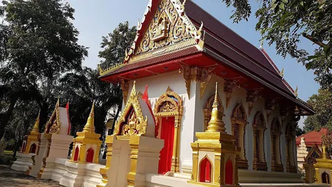 เหนือฟ้าใต้บาดาล : ตักบาตรยายดอกไม้ ศรัทธา 5 ดอกไม้สีขาว