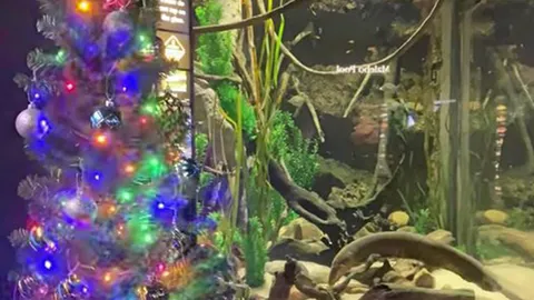 เปิดม่าน joke opera : ปล่อยพลังให้เกิดแสง