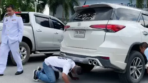 น้องแมวตัวน้อยหนีหนาว ซุกรถรองผู้ว่าฯ เมืองคอน คอหวยไม่พลาดส่องทะเบียน