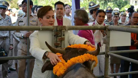 ม.ล.สราลี ไถ่ชีวิตโค ขอคนไทยส่งกำลังใจให้ "พระองค์โสม" หายจากประชวร