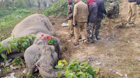 เศร้า รถไฟโดยสารอินเดีย พุ่งชนช้างข้ามทางรถไฟ ดับสลด 2 ตัว