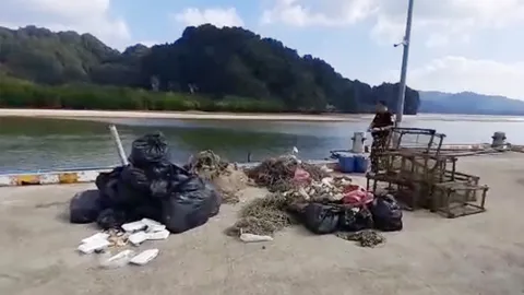 นักดำน้ำ ร่วมเก็บขยะใต้ทะเล ณ เกาะที่กระบี่ ได้ปริมาณรวมกว่า 600 กก.