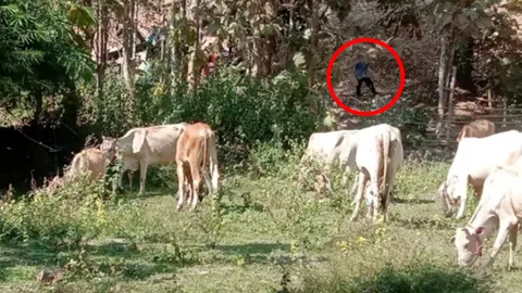 ขนลุก เมีย ผญบ.ควักมือถือถ่ายภาพ ติดวิญญาณผีหัวขาด เชื่อมาขอส่วนบุญ