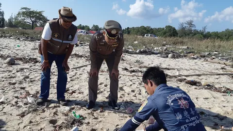 พบศพครึ่งท่อนล่างเกยหาด อ.ไชยา คาดแรงงานต่างด้าวตกเรือใบพัดฟันขาด