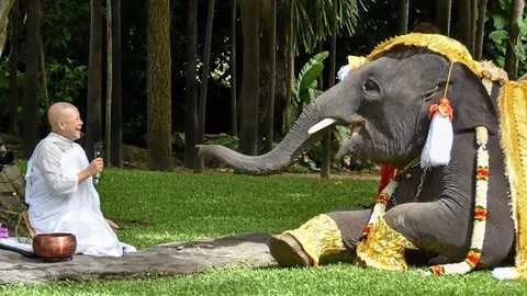 สมาร์ทไลฟ์ : 1+1 ไม่เท่ากับ 2 ใช้ "หัวใจ" สั่ง "สมอง"