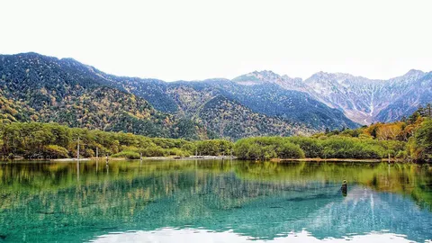 เที่ยวตามตะวัน : อาบป่า "คามิโคจิ"