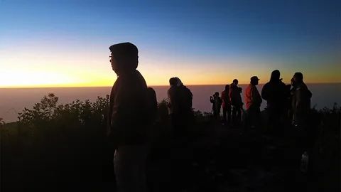 “เชียงใหม่” คึกคักเหมยขาบบนดอยคนแห่เที่ยวแน่น