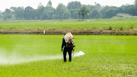 หน้ามองฟ้า เท้าหยั่งดิน : ทางออกสารเคมีกำจัดศัตรูพืช