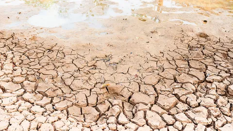 ห้องร้องทุกข์ : ปีนี้แล้งเร็ว ฉะเชิงเทราน้ำในคลองแห้งขอด วอนหามาตรการช่วยเหลือ