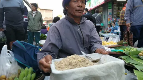 มองทั่วทิศเมืองไทย : “ไข่มดดิน” เมนูอาหารป่าหายาก