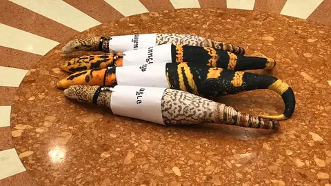 ใครวาง "ตุ๊กตาตัวเงินตัวทอง" ติดชื่อ 4 ส.ส. โผล่ห้องประชุมอนาคตใหม่  