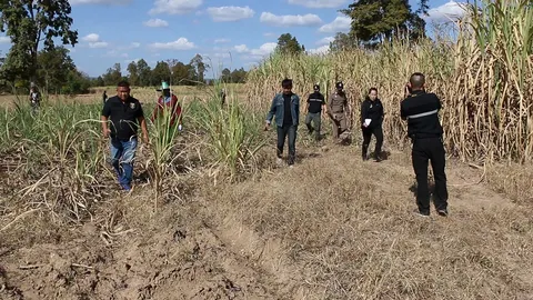 ตร.น้ำพอง ตั้งเงินนำจับพ่อเลี้ยงหื่น ชาวบ้านเผยมาขโมยแตงโมคาดหิวโซหนัก