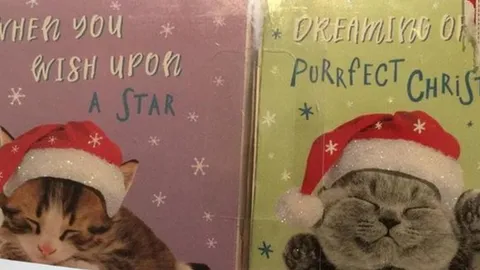 ตะลึง ด.ญ. 6 ขวบซื้อการ์ดคริสต์มาส เจอข้อความเหยื่อโรงงานนรกขอให้ช่วย