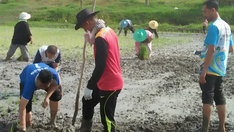 มองทั่วทิศเมืองไทย : ฟื้นฟูประเพณีการลงแขกดำนา 