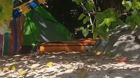 เคสพิลึกหนุ่มโปแลนด์-สาวไทย หาย 18วันไม่เจอ เร่งดูวงจรปิดย้อนหลังคลี่ปมคาใจ