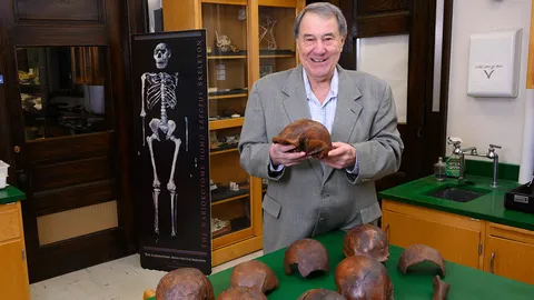 มนุษย์โฮโมอิเรคตัสรอดชีวิตนานกว่าที่คิด