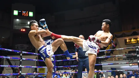 "เพชรอัศวิน" หักเหลี่ยมโค่น "จ้าวเสือใหญ่" นัดส่งท้ายปีเวทีลุมพินี