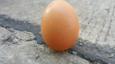 เปิดม่าน joke opera : หัดตั้งไข่