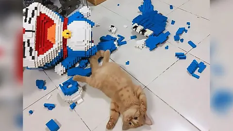 เปิดม่าน Joke opera : งานซนของผู้บริสุทธิ์