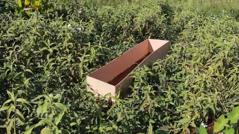 กล่องไม้คล้ายโลงหล่นข้างถนน ทำคนอุดรฯ ผวา สุดท้ายเป็นที่โชว์มือถือในห้าง