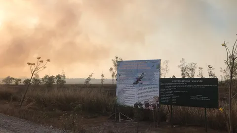 ไฟไหม้ทุ่งใหญ่ปากพลี ลุกลามมากกว่าพันไร่ กระทบเหยี่ยวอพยพจากไซบีเรีย