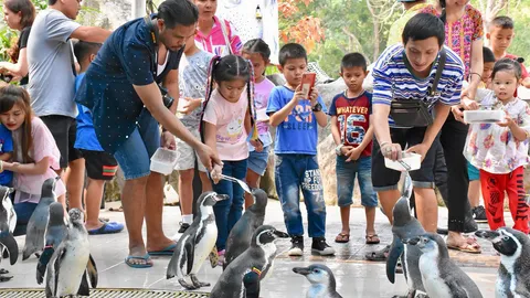 ถูกใจเด็กๆ