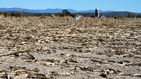 คาบลูกคาบดอก : ภัยแล้งวิกฤติอาหาร