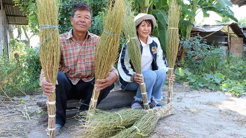 มองทั่วทิศเมืองไทย : "ไม้กวาดต้นยู" ภูมิปัญญาไท-ยวน