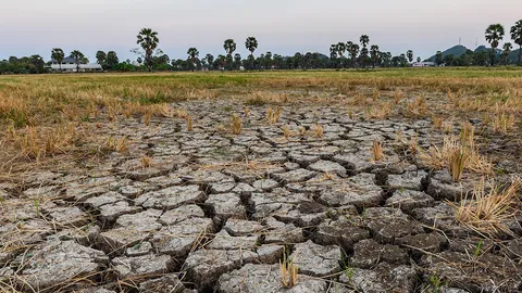 ดัชนีอุตสาหกรรมเดือน ธันวาคมวูบ ภัยแล้ง-พิษบาทโหมกระหน่ำ