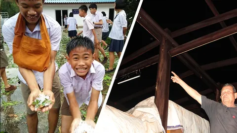 พายุลูกเห็บ ถล่มนครพนม บ้านพังยับกว่า 60 หลังคาเรือน ต้นไม้หักโค่น