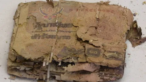 ไม่ต้องตกใจ แบงก์ขาดชำรุด ไฟไหม้ ปลวกแทะ แลกได้ไม่เสียค่าธรรมเนียม