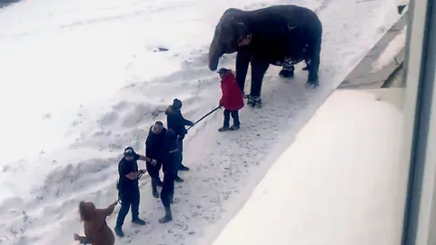 เปิดม่าน joke opera : อยากจะเล่นหิมะ