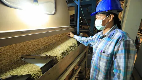 หน้ามองฟ้า เท้าหยั่งดิน : 1 ศูนย์ 100 ตัน