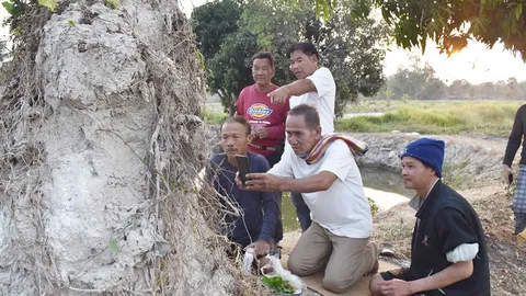แห่ขอโชคลาภ "จอมปลวกปู่ราชสีห์" ไม่พลาดได้ "เลขเด็ด" ไปเสี่ยงโชค